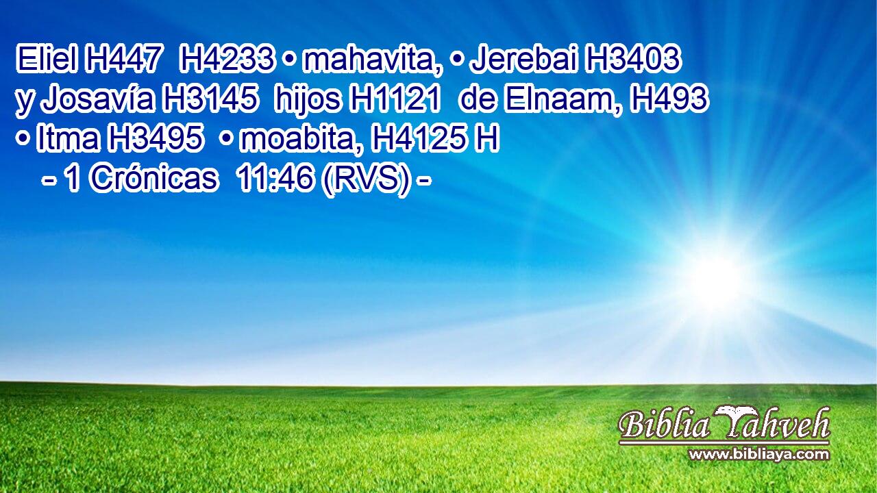 Eliel H447  H4233 • mahavita, • Jerebai H3403  y Josavía H3145  hijos H1121  de Elnaam, H493  • Itma H3495  • moabita, H4125 H 