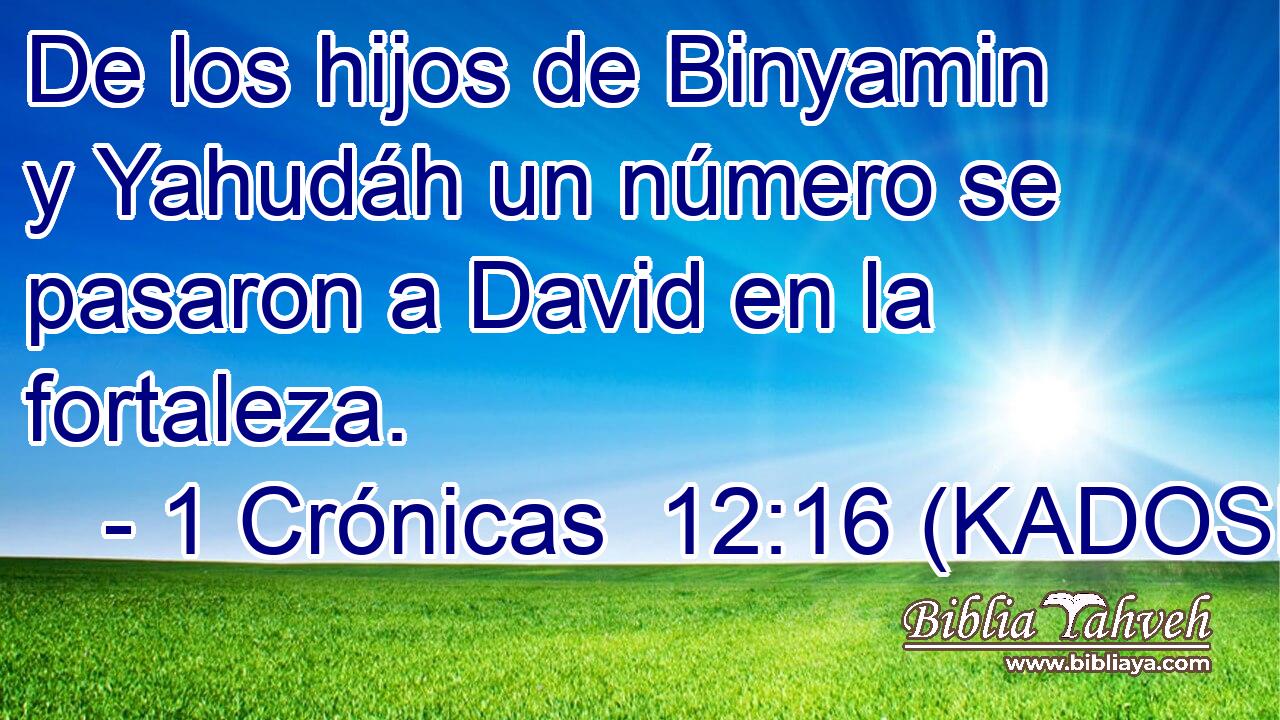  De los hijos de Binyamin y Yahudáh un número se pasaron a David en la fortaleza. 