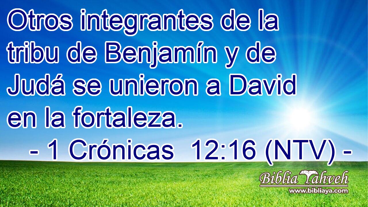 Otros integrantes de la tribu de Benjamín y de Judá se unieron a David en la fortaleza.