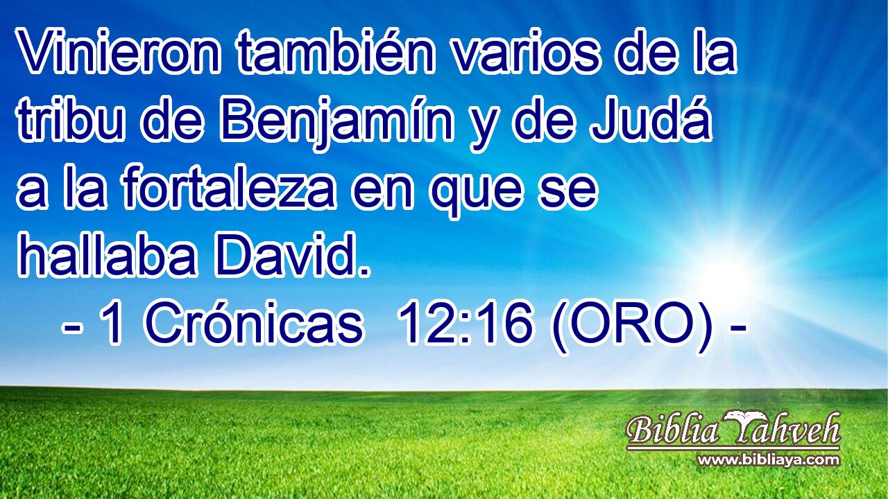  Vinieron también varios de la tribu de Benjamín y de Judá a la fortaleza en que se hallaba David. 