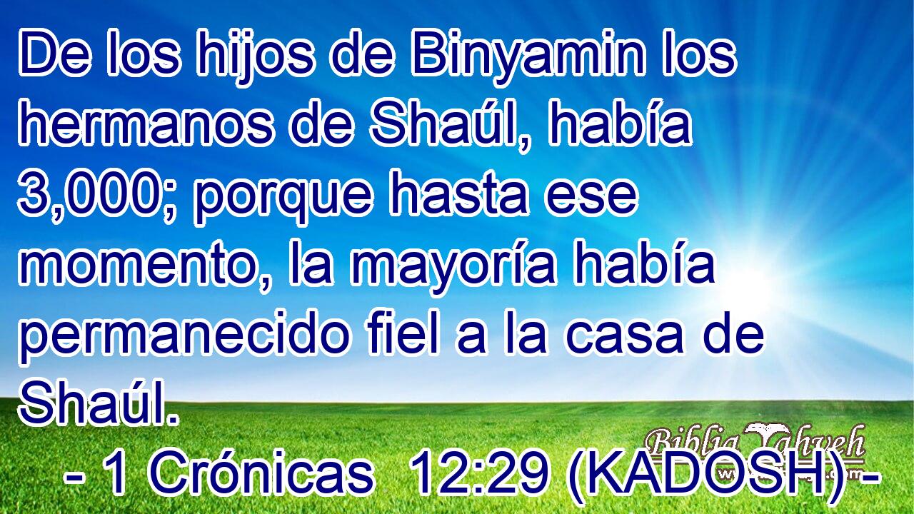  De los hijos de Binyamin los hermanos de Shaúl, había 3,000; porque hasta ese momento, la mayoría había permanecido fiel a la casa de Shaúl. 