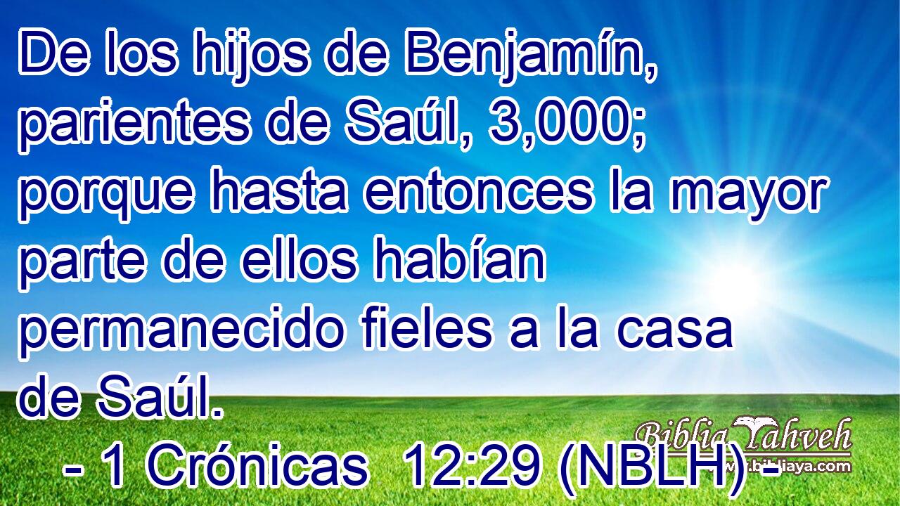  De los hijos de Benjamín, parientes de Saúl, 3,000; porque hasta entonces la mayor parte de ellos habían permanecido fieles a la casa de Saúl. 