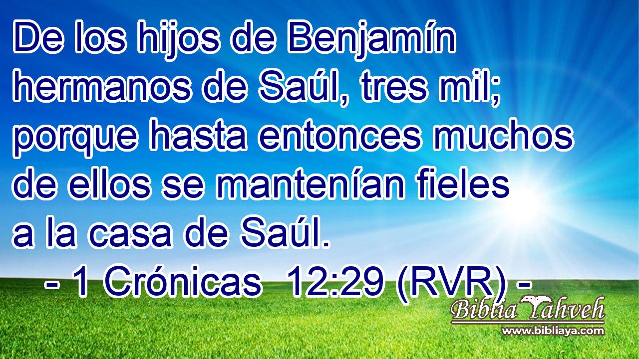 De los hijos de Benjamín hermanos de Saúl, tres mil; porque hasta entonces muchos de ellos se mantenían fieles a la casa de Saúl.