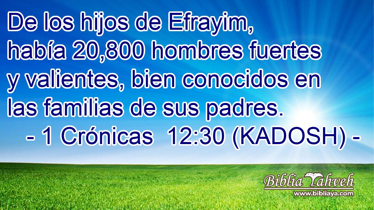  De los hijos de Efrayim, había 20,800 hombres fuertes y valientes, bien conocidos en las familias de sus padres. 
