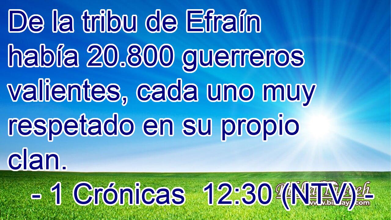 De la tribu de Efraín había 20.800 guerreros valientes, cada uno muy respetado en su propio clan.