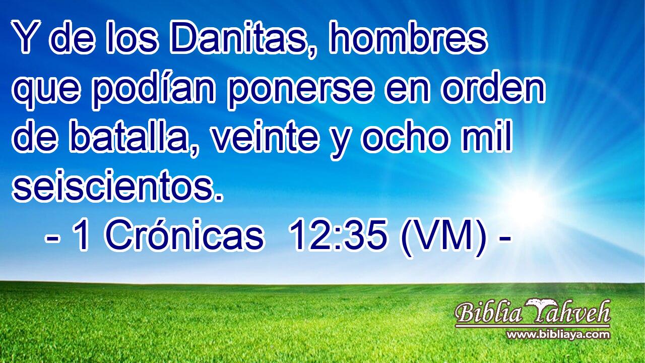  Y de los Danitas, hombres  que podían ponerse en orden de batalla, veinte y ocho mil seiscientos. 