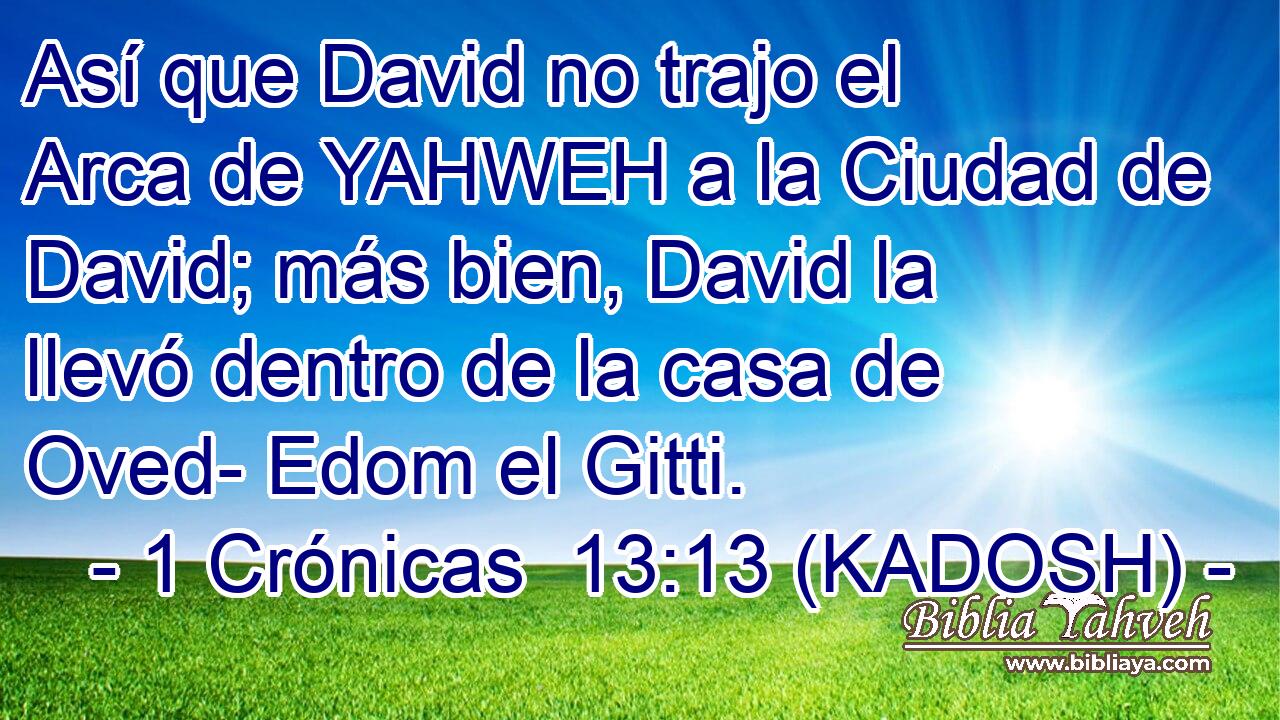  Así que David no trajo el Arca de YAHWEH a la Ciudad de David; más bien, David la llevó dentro de la casa de Oved- Edom el Gitti. 