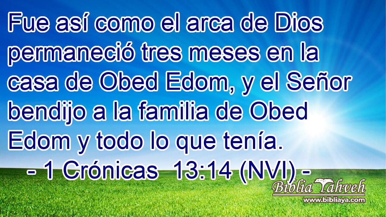  Fue así como el arca de Dios permaneció tres meses en la casa de Obed Edom, y el Señor bendijo a la familia de Obed Edom y todo lo que tenía. 