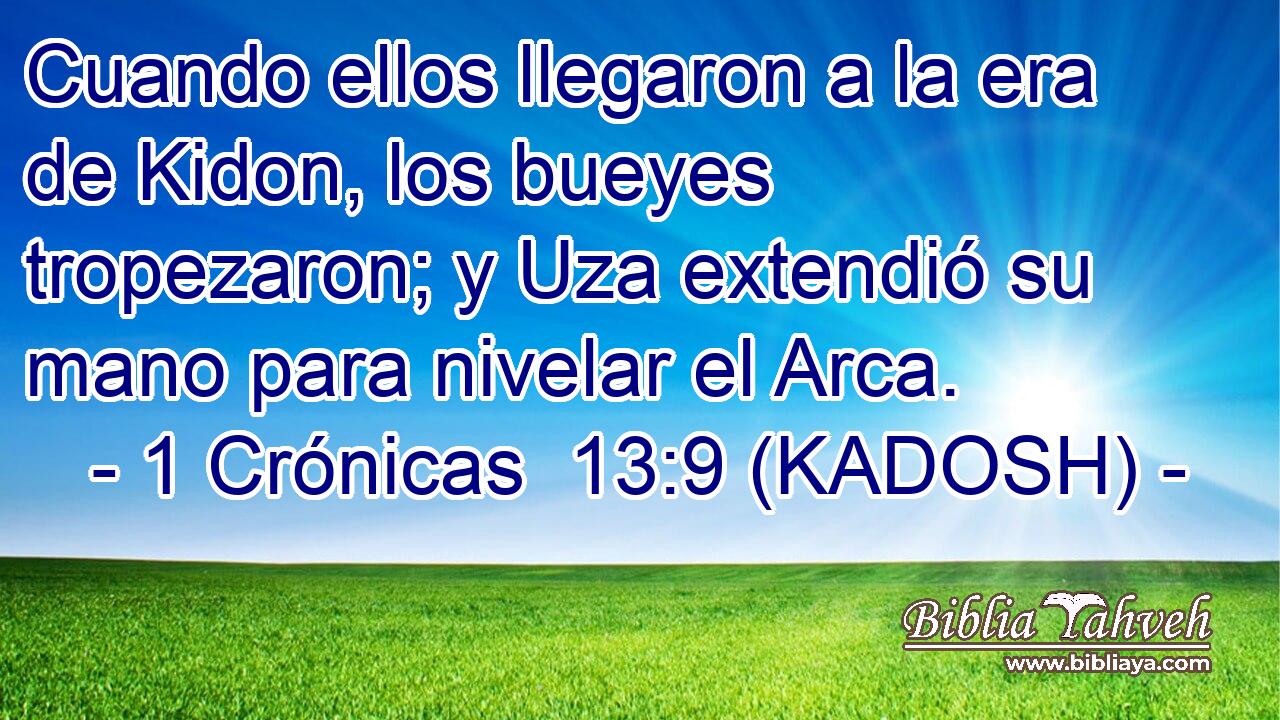  Cuando ellos llegaron a la era de Kidon, los bueyes tropezaron; y Uza extendió su mano para nivelar el Arca. 