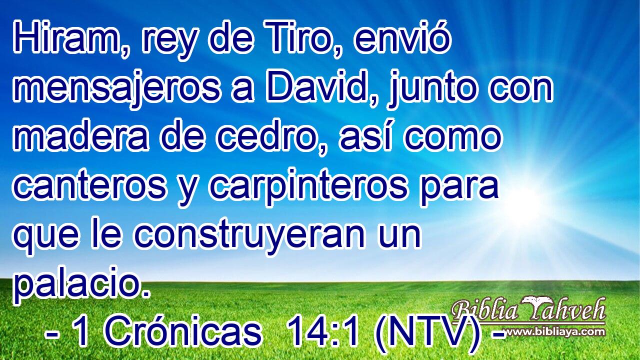 Hiram, rey de Tiro, envió mensajeros a David, junto con madera de cedro, así como canteros y carpinteros para que le construyeran un palacio.
