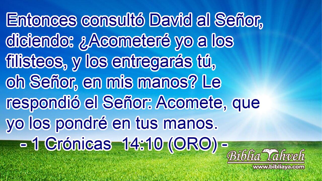  Entonces consultó David al Señor, diciendo: ¿Acometeré yo a los filisteos, y los entregarás tú, oh Señor, en mis manos? Le respondió el Señor: Acomete, que yo los pondré en tus manos. 
