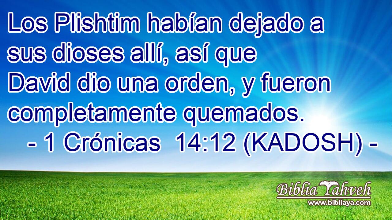  Los Plishtim habían dejado a sus dioses allí, así que David dio una orden, y fueron completamente quemados. 