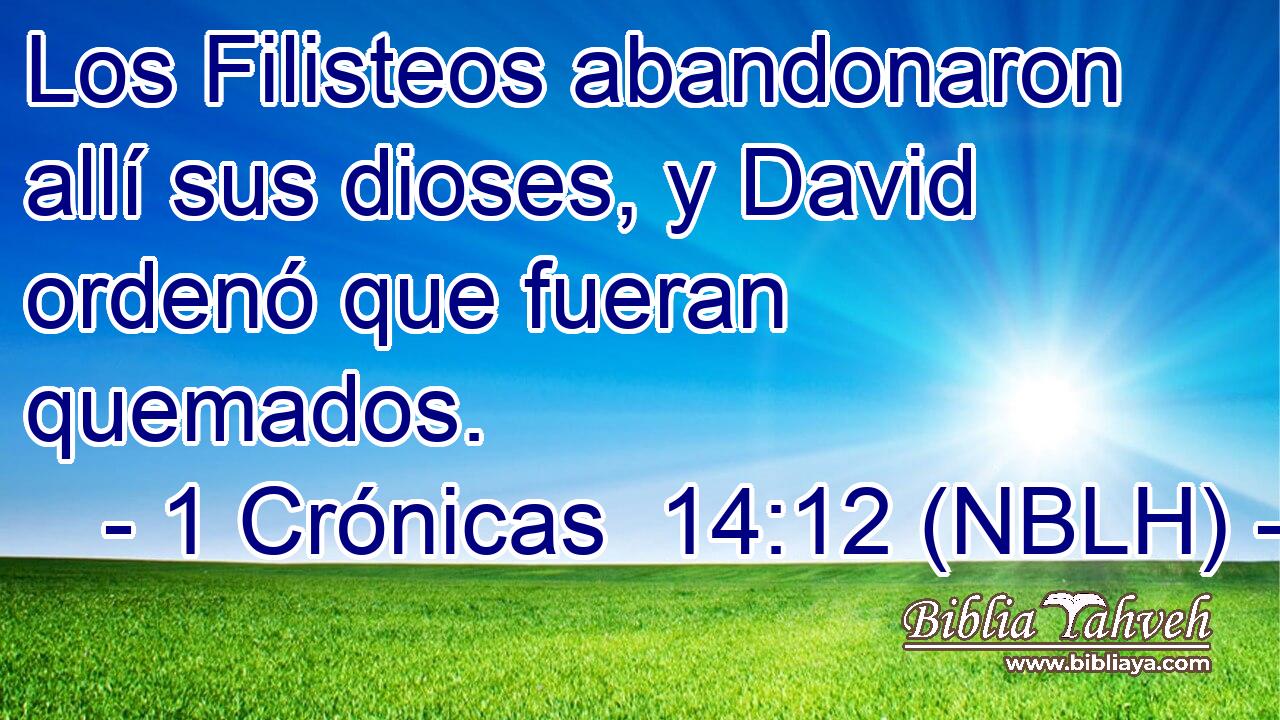  Los Filisteos abandonaron allí sus dioses, y David ordenó que fueran quemados. 
