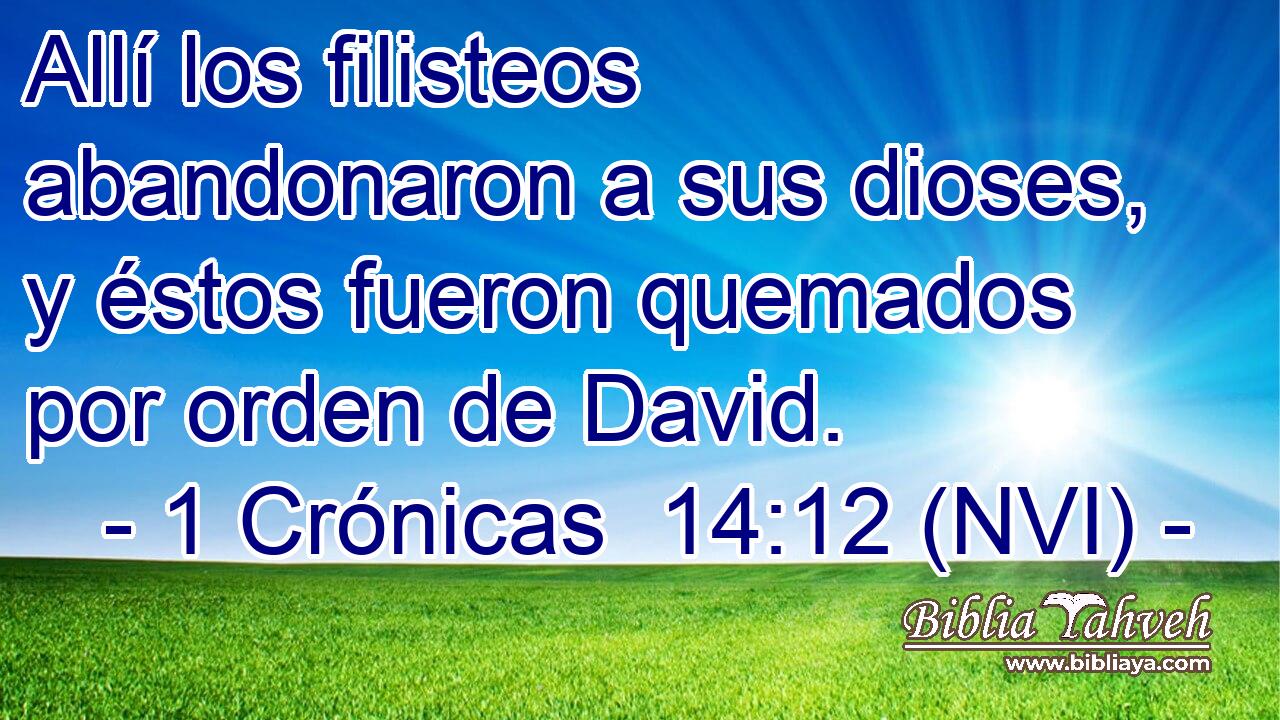  Allí los filisteos abandonaron a sus dioses, y éstos fueron quemados por orden de David. 