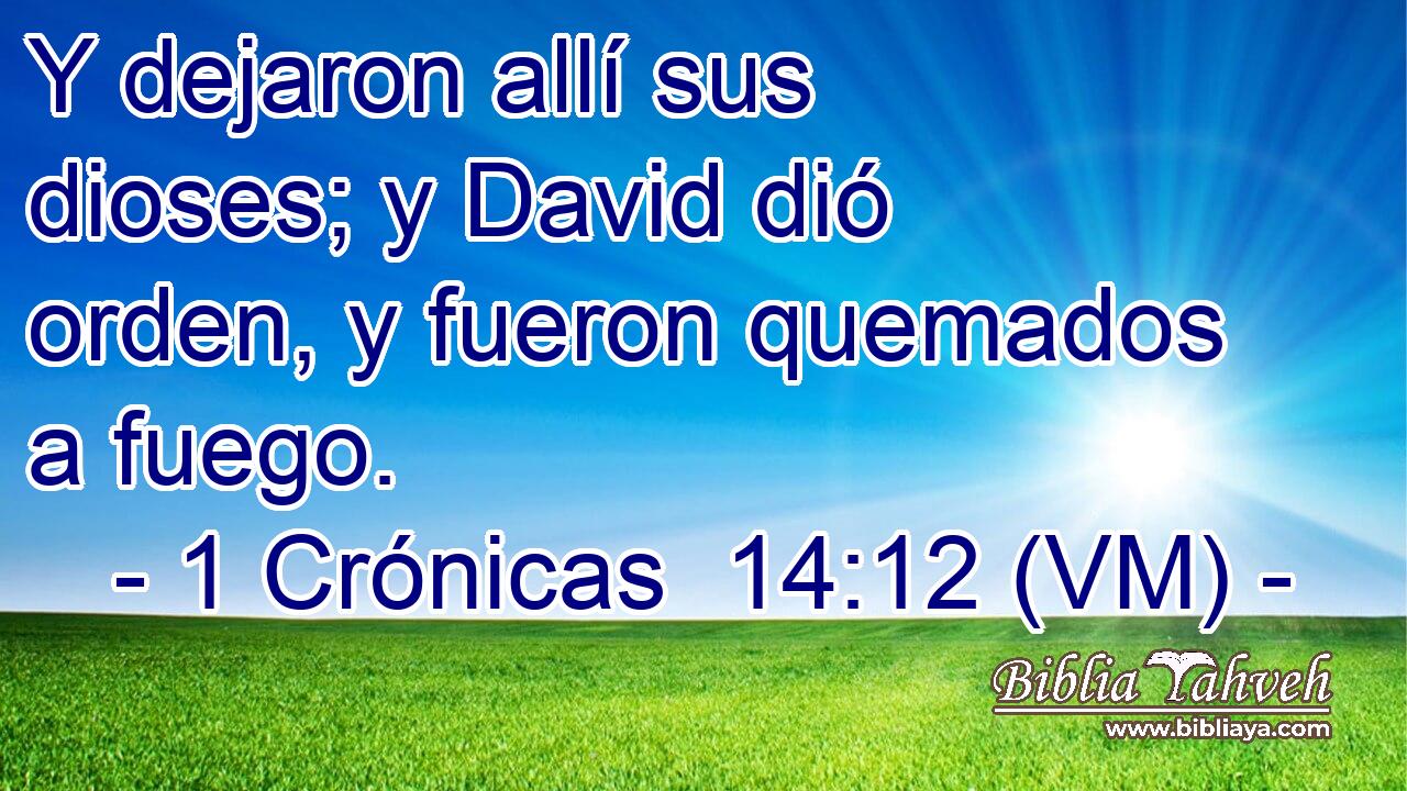  Y dejaron allí sus dioses; y David dió orden, y fueron quemados a fuego. 