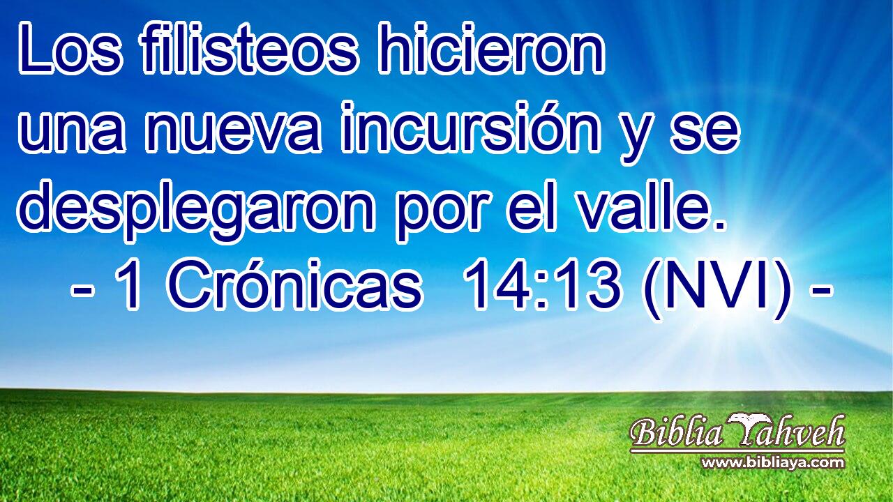  Los filisteos hicieron una nueva incursión y se desplegaron por el valle. 