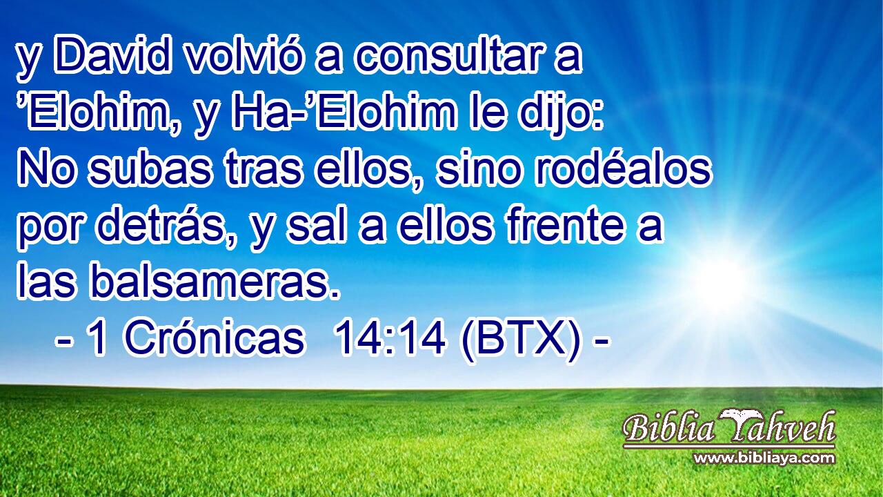 y David volvió a consultar a ’Elohim, y Ha-’Elohim le dijo: No subas tras ellos, sino rodéalos por detrás, y sal a ellos frente a las balsameras.