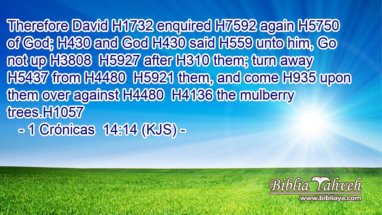 Therefore David H1732 enquired H7592 again H5750 of God; H430 and God H430 said H559 unto him, Go not up H3808  H5927 after H310 them; turn away H5437 from H4480  H5921 them, and come H935 upon them over against H4480  H4136 the mulberry trees.H1057