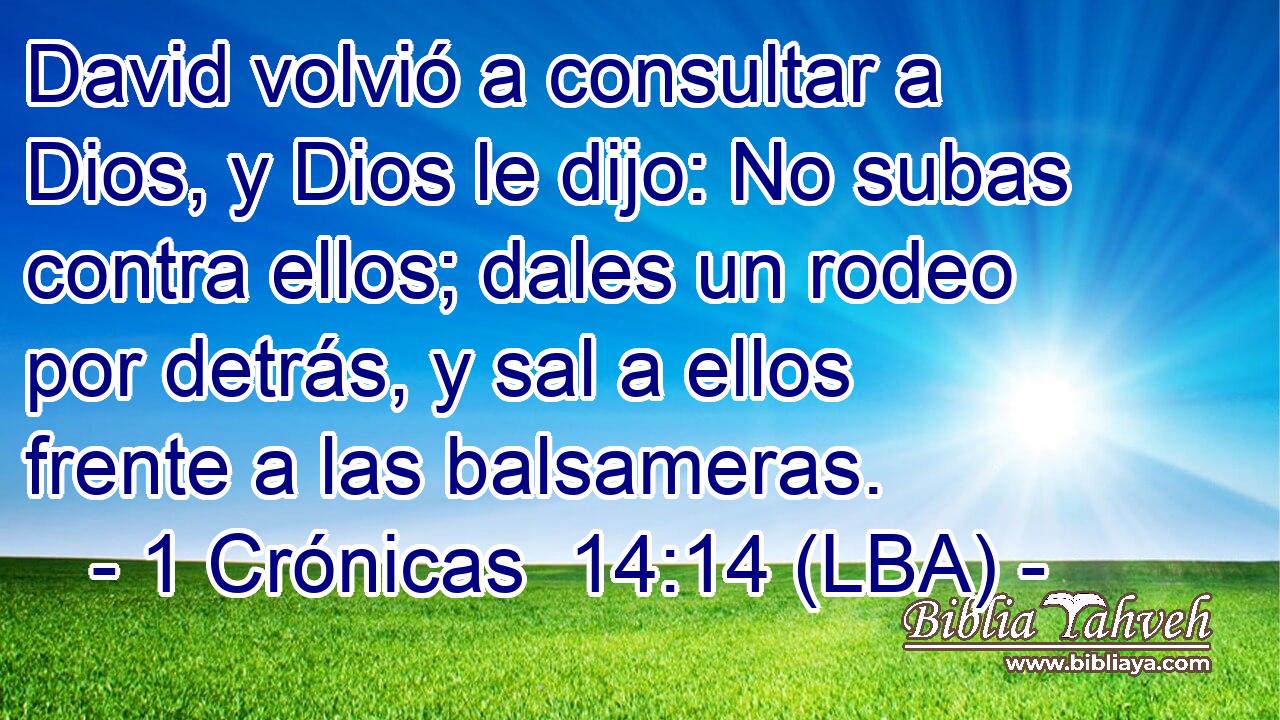 David volvió a consultar a Dios, y Dios le dijo: No subas contra ellos; dales un rodeo por detrás, y sal a ellos frente a las balsameras.
