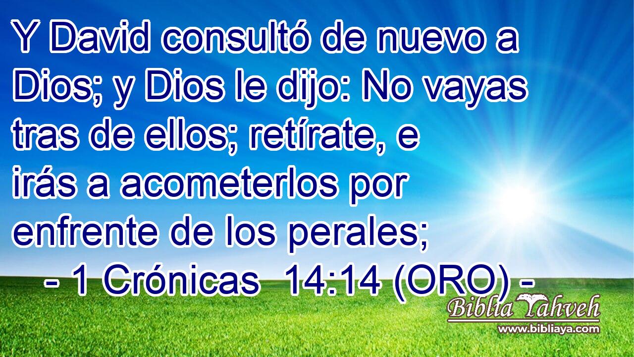  Y David consultó de nuevo a Dios; y Dios le dijo: No vayas tras de ellos; retírate, e irás a acometerlos por enfrente de los perales; 