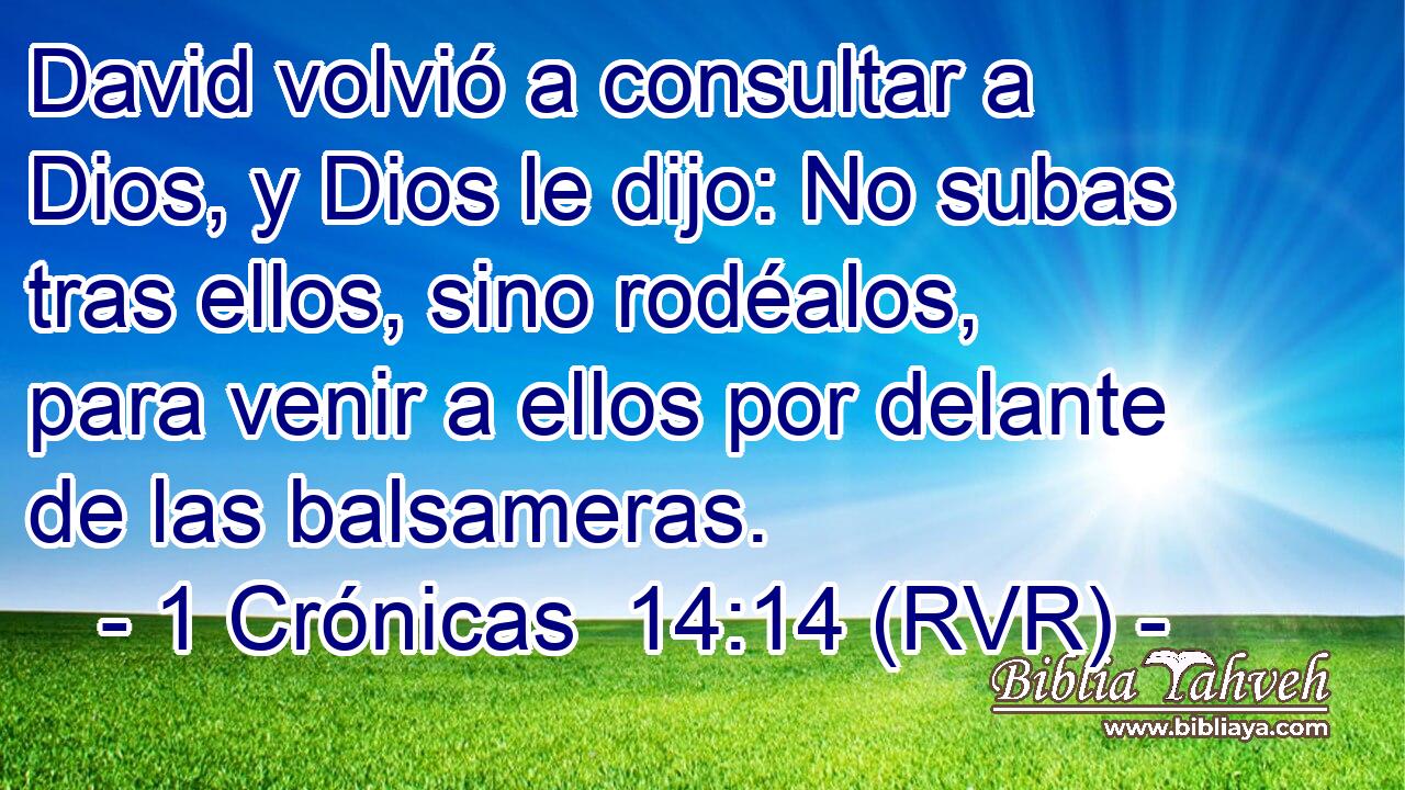 David volvió a consultar a Dios, y Dios le dijo: No subas tras ellos, sino rodéalos, para venir a ellos por delante de las balsameras.