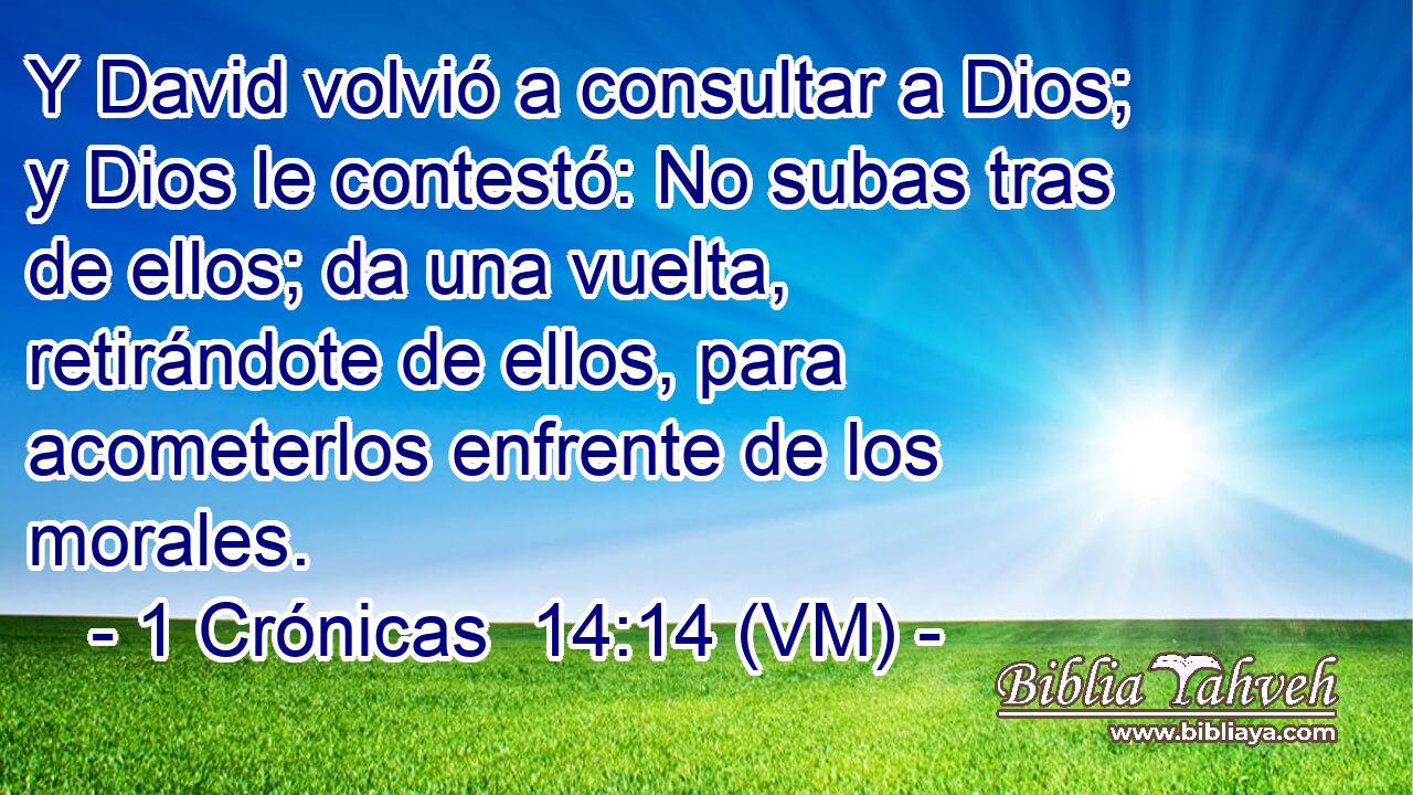  Y David volvió a consultar a Dios; y Dios le contestó: No subas tras de ellos; da una vuelta, retirándote de ellos, para acometerlos enfrente de los morales. 