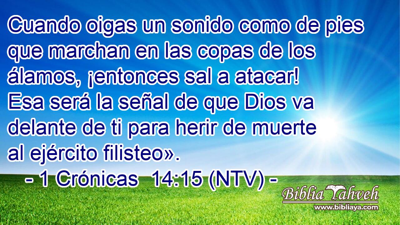 Cuando oigas un sonido como de pies que marchan en las copas de los álamos, ¡entonces sal a atacar! Esa será la señal de que Dios va delante de ti para herir de muerte al ejército filisteo».