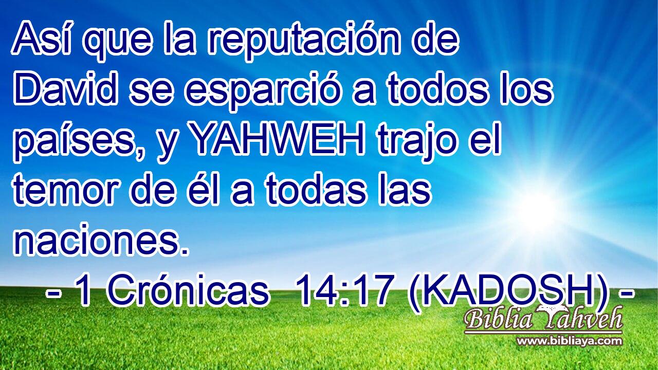  Así que la reputación de David se esparció a todos los países, y YAHWEH trajo el temor de él a todas las naciones. 