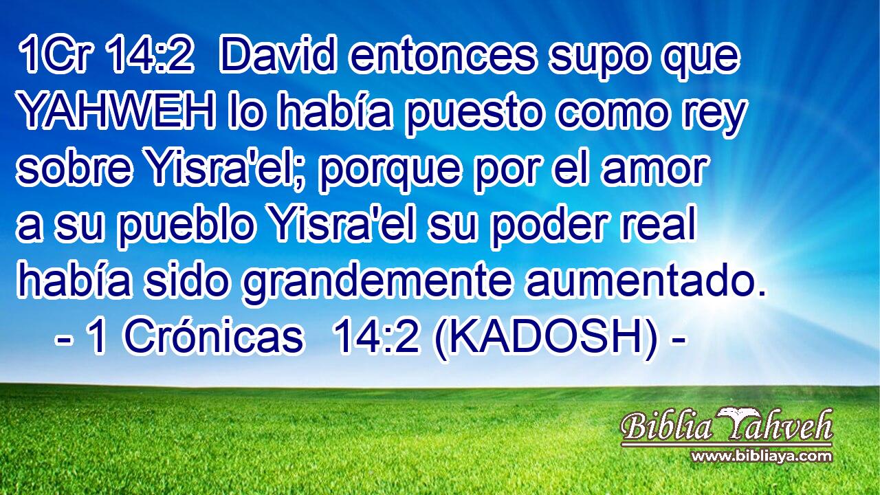  David entonces supo que YAHWEH lo había puesto como rey sobre Yisra'el; porque por el amor a su pueblo Yisra'el su poder real había sido grandemente aumentado. 
