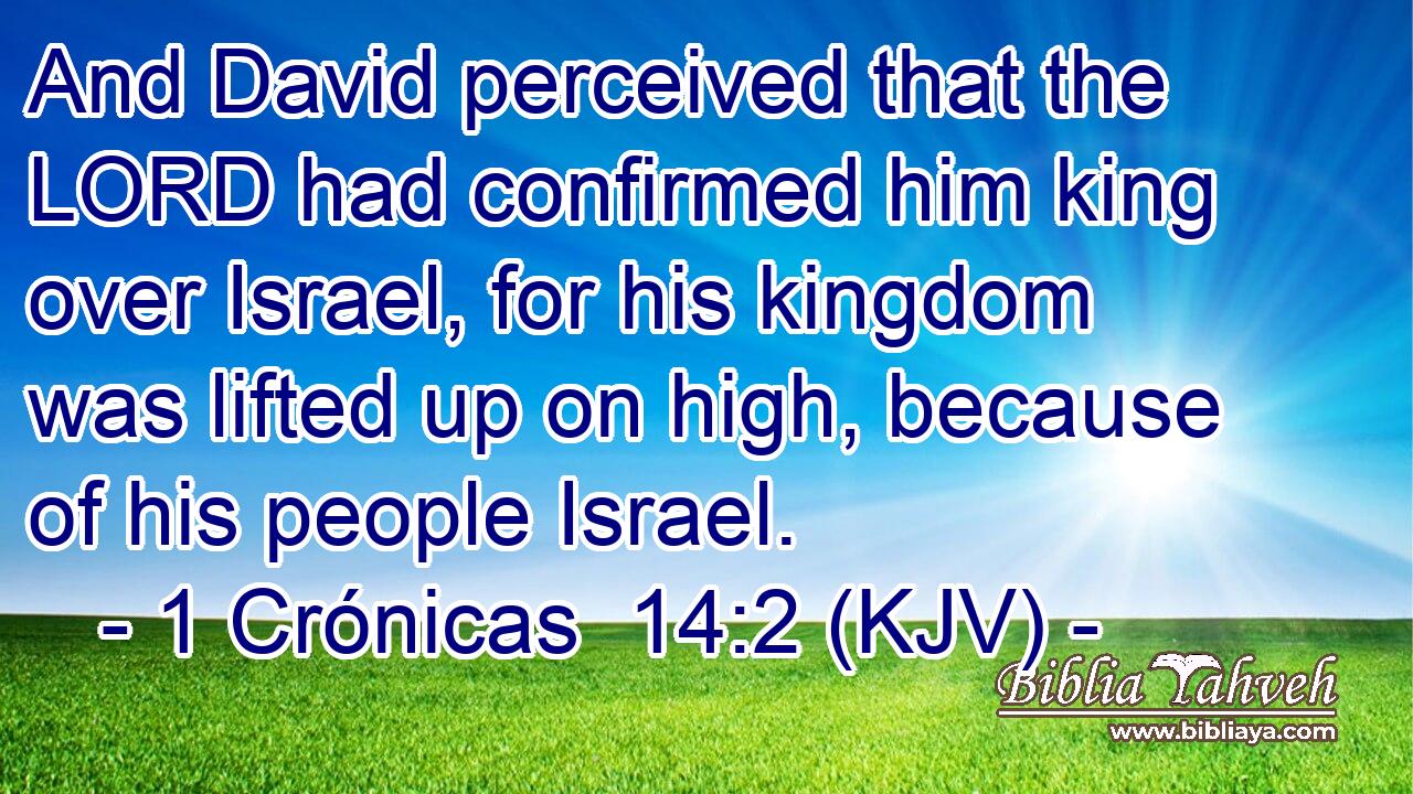 And David perceived that the LORD had confirmed him king over Israel, for his kingdom was lifted up on high, because of his people Israel.