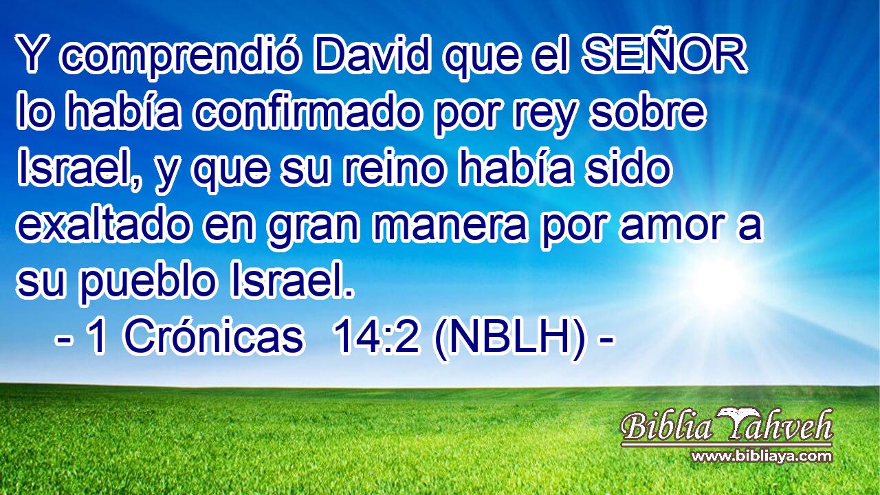  Y comprendió David que el SEÑOR lo había confirmado por rey sobre Israel, y que su reino había sido exaltado en gran manera por amor a su pueblo Israel. 