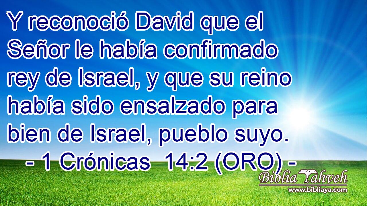  Y reconoció David que el Señor le había confirmado rey de Israel, y que su reino había sido ensalzado para bien de Israel, pueblo suyo. 