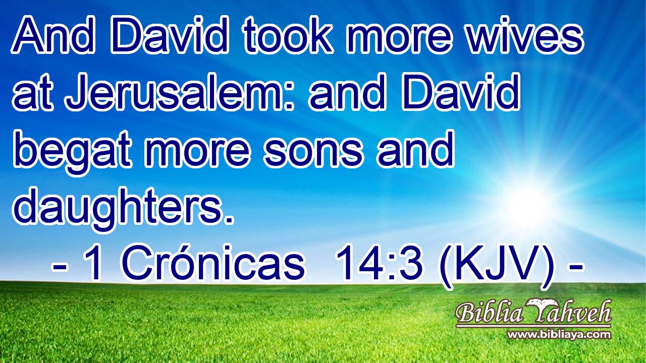 And David took more wives at Jerusalem: and David begat more sons and daughters.