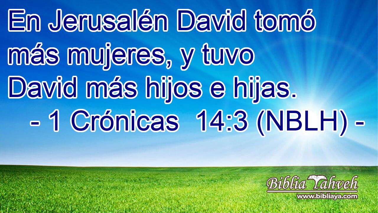  En Jerusalén David tomó más mujeres, y tuvo David más hijos e hijas. 