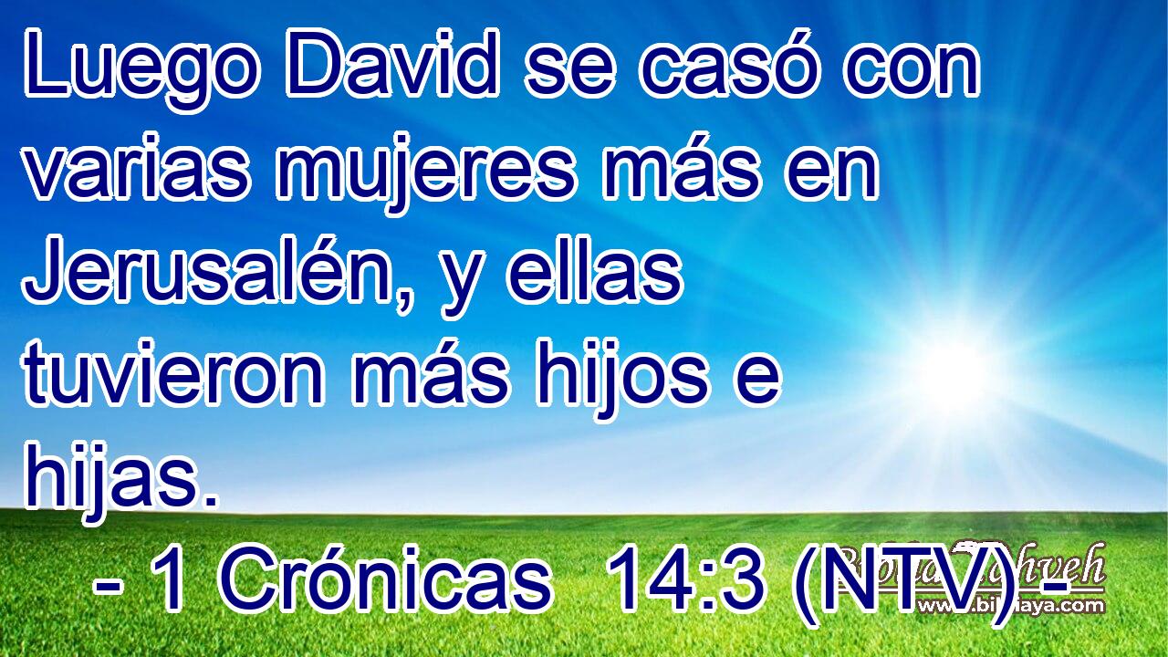 Luego David se casó con varias mujeres más en Jerusalén, y ellas tuvieron más hijos e hijas.