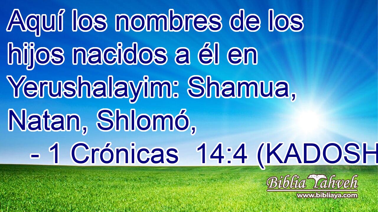  Aquí los nombres de los hijos nacidos a él en Yerushalayim: Shamua, Natan, Shlomó, 