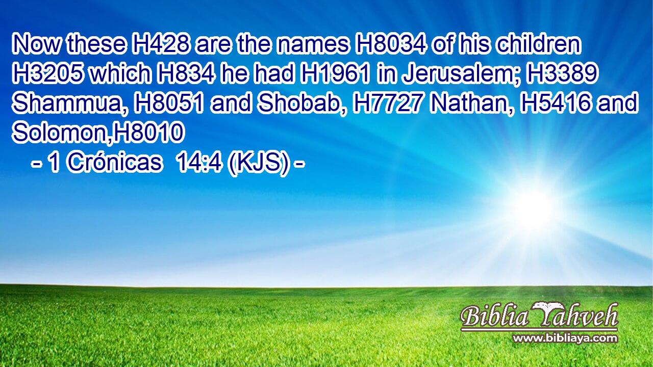 Now these H428 are the names H8034 of his children H3205 which H834 he had H1961 in Jerusalem; H3389 Shammua, H8051 and Shobab, H7727 Nathan, H5416 and Solomon,H8010