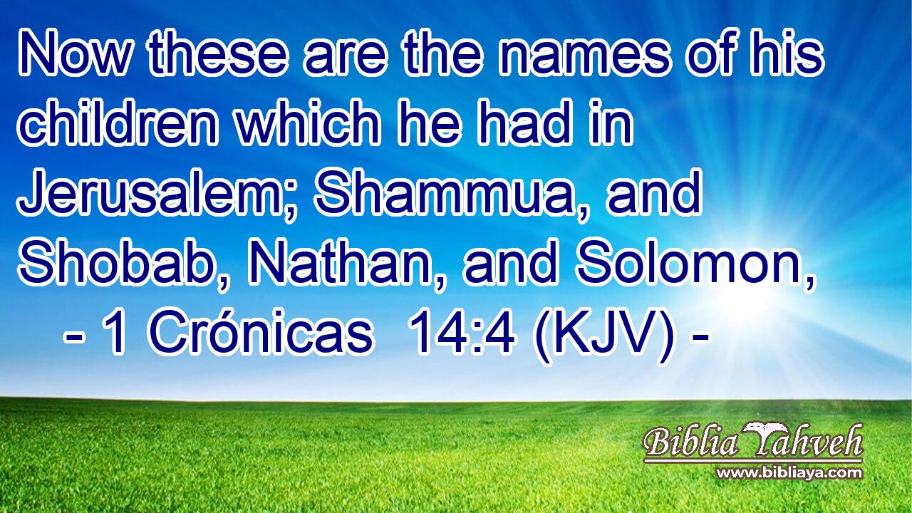 Now these are the names of his children which he had in Jerusalem; Shammua, and Shobab, Nathan, and Solomon,