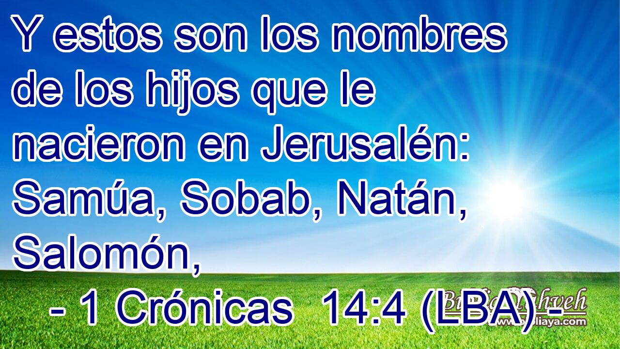 Y estos son los nombres de los hijos que le nacieron en Jerusalén: Samúa, Sobab, Natán, Salomón,