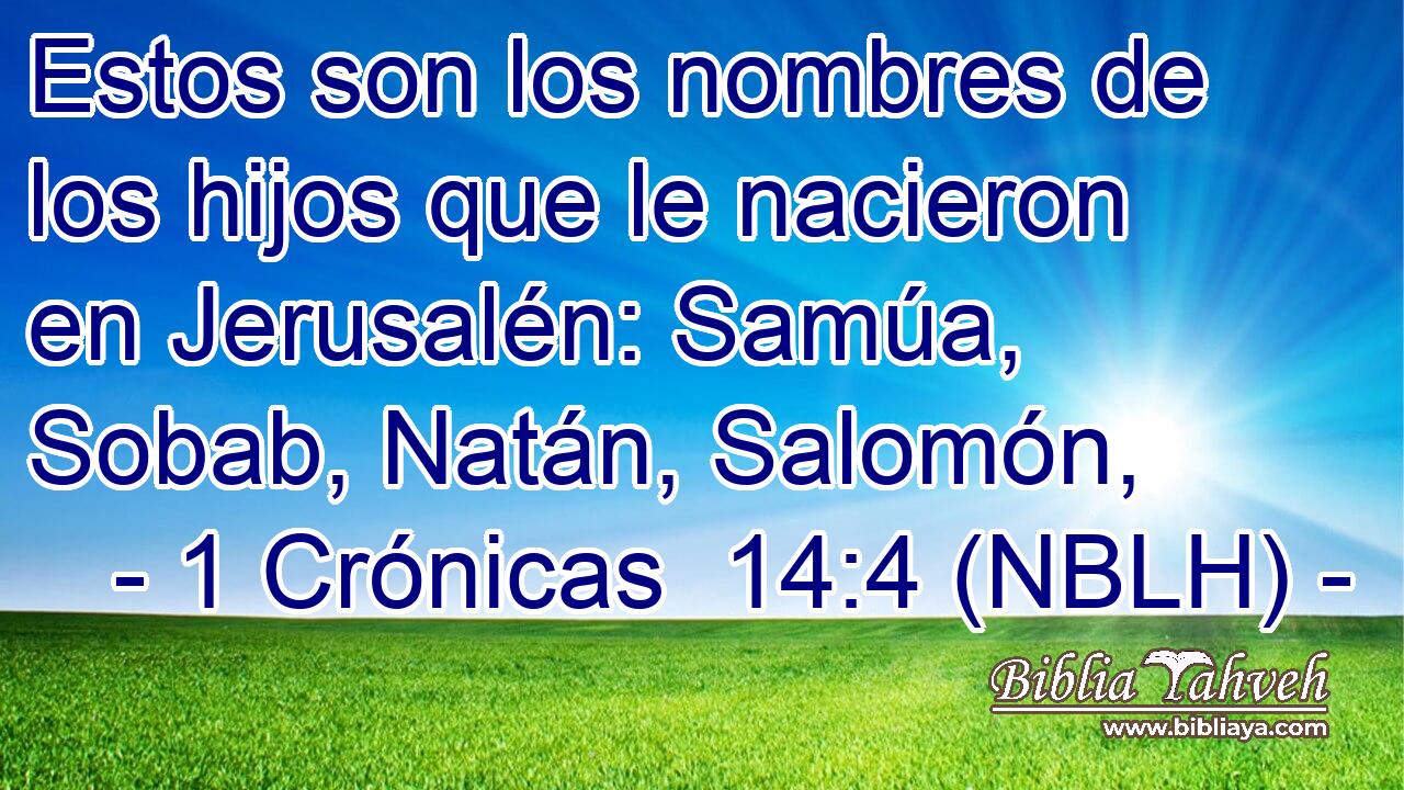  Estos son los nombres de los hijos que le nacieron en Jerusalén: Samúa, Sobab, Natán, Salomón, 