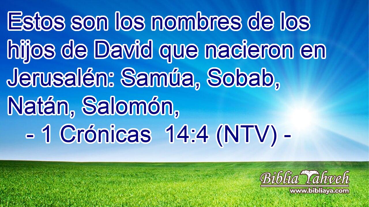 Estos son los nombres de los hijos de David que nacieron en Jerusalén: Samúa, Sobab, Natán, Salomón,