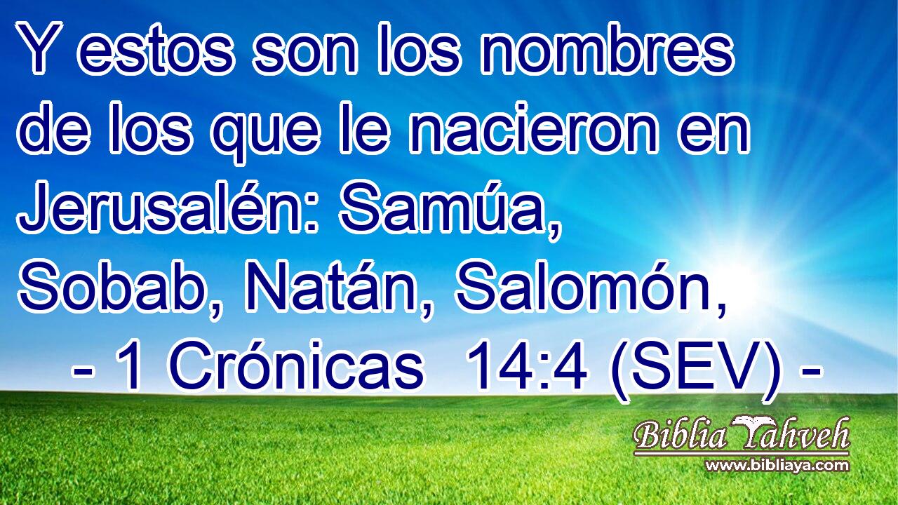 Y estos son los nombres de los que le nacieron en Jerusalén: Samúa, Sobab, Natán, Salomón,