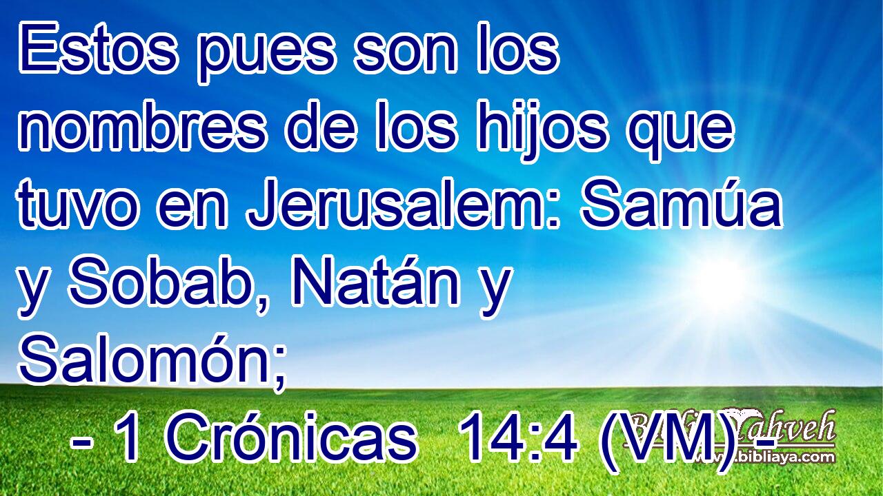  Estos pues son los nombres de los hijos que tuvo en Jerusalem: Samúa y Sobab, Natán y Salomón; 