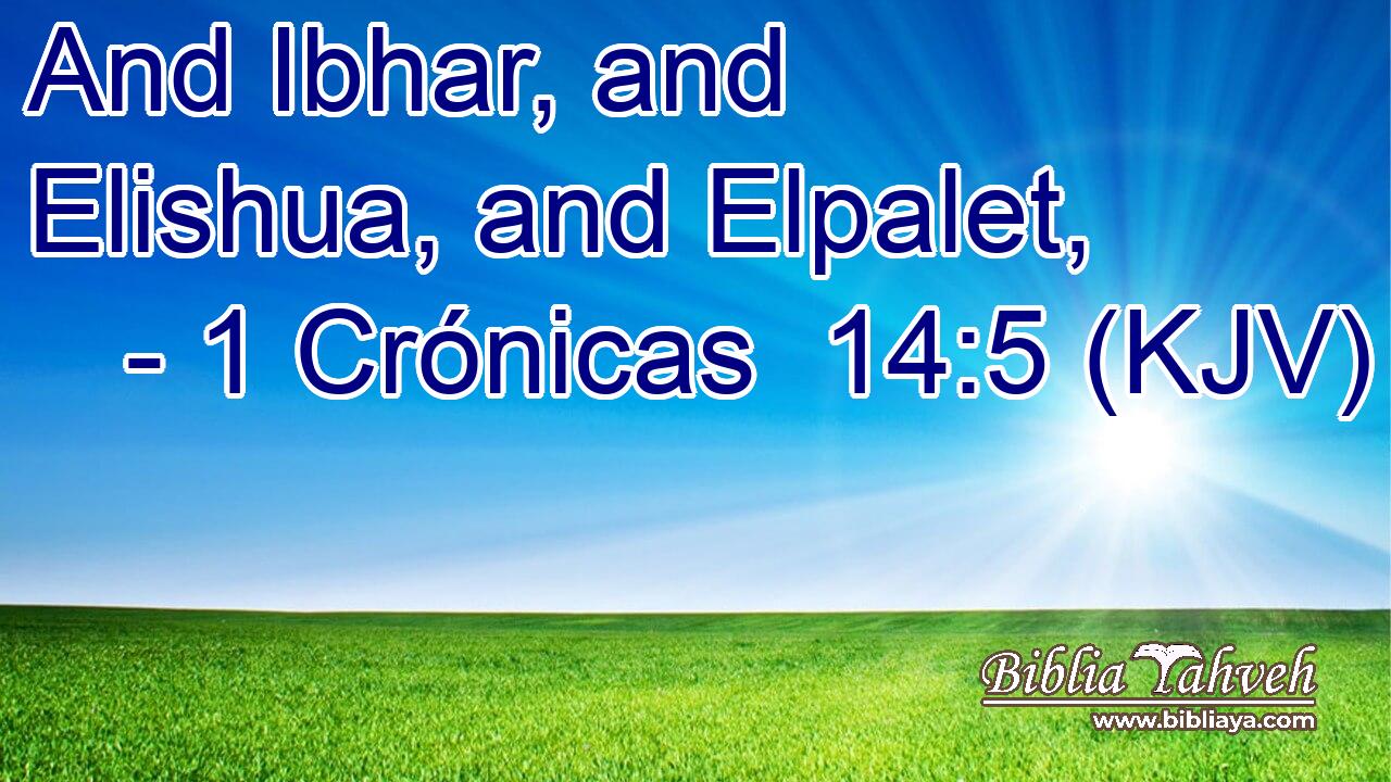 And Ibhar, and Elishua, and Elpalet,