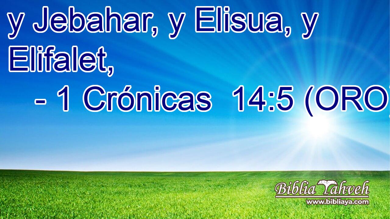  y Jebahar, y Elisua, y Elifalet, 