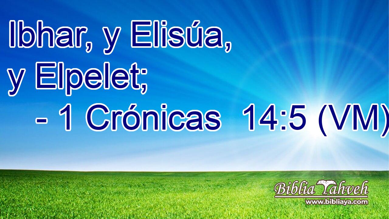  Ibhar, y Elisúa, y Elpelet; 