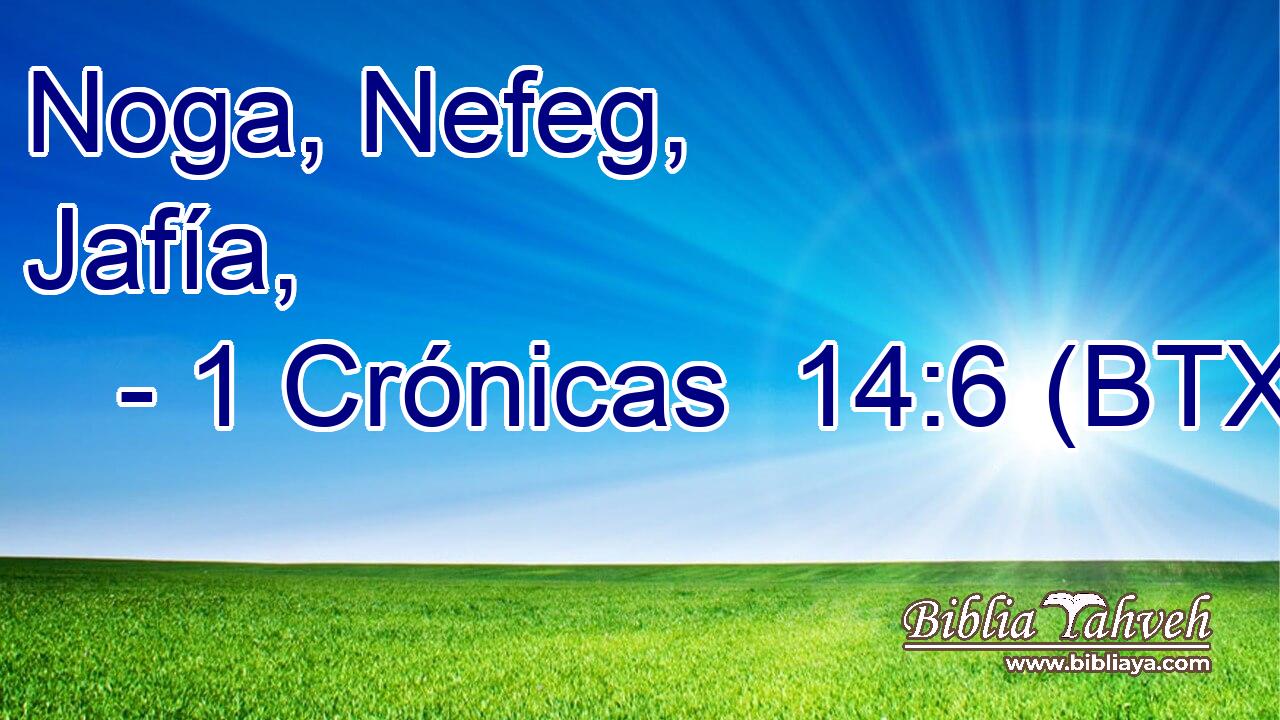 Noga, Nefeg, Jafía,