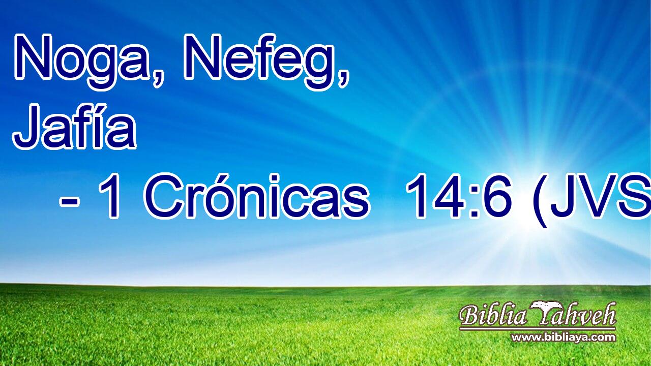 Noga, Nefeg, Jafía