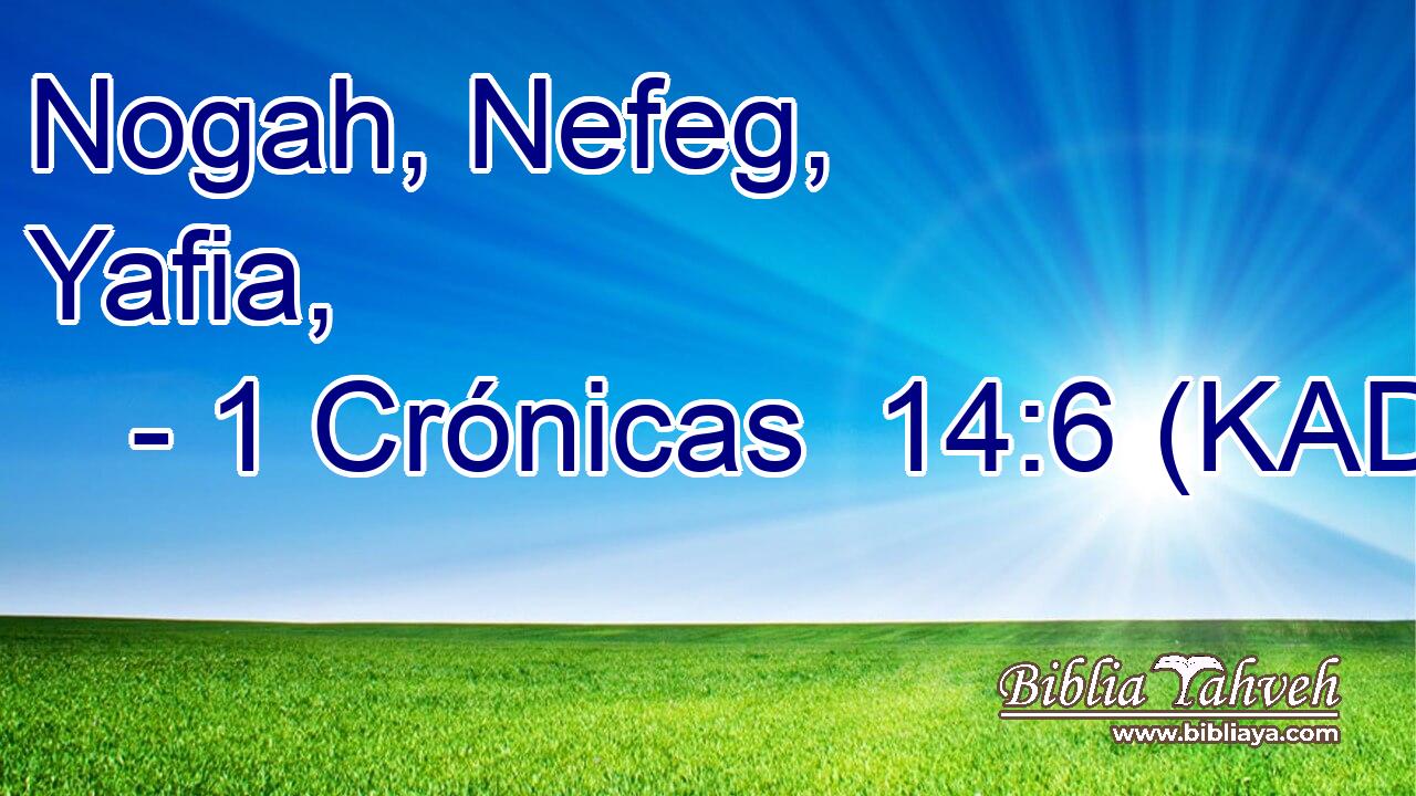  Nogah, Nefeg, Yafia, 