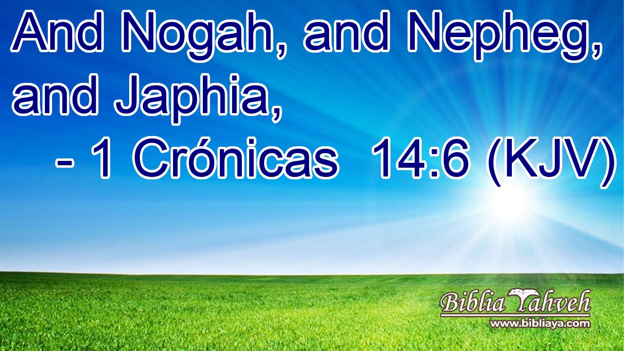 And Nogah, and Nepheg, and Japhia,